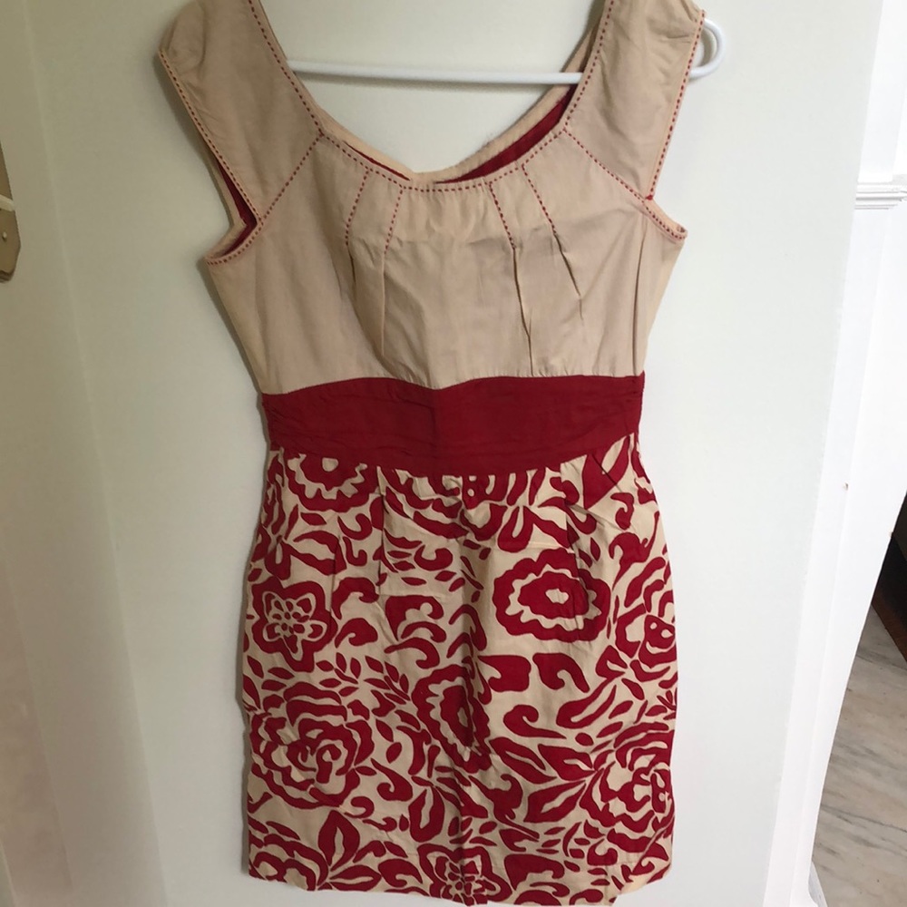 Cute Baraschi dress
